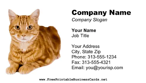 Cat Photo business card