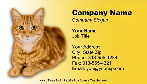 Cat Photo Yellow business card