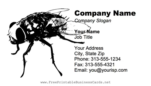 Fly business card