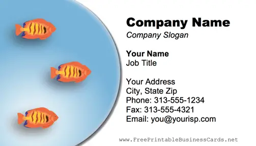 Orange Fish business card