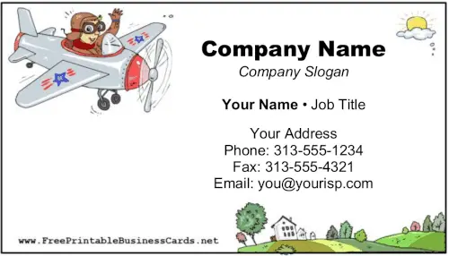 Pilot Lessons business card