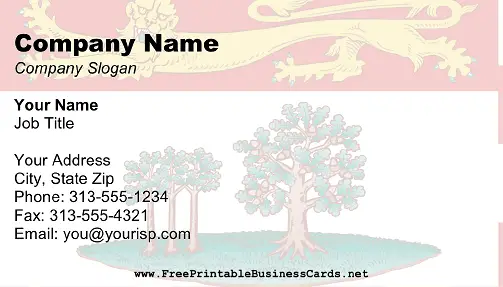 Prince Edward Island Flag business card
