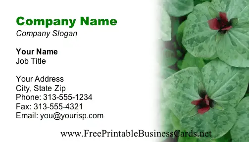 Plants business card