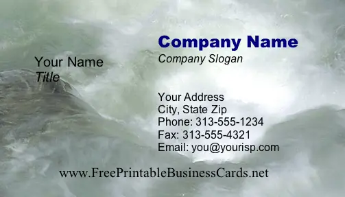 Rapids business card