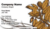 Brown Plant