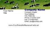 Cows